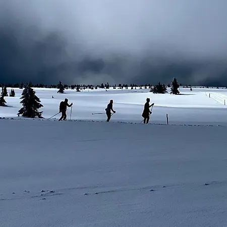 Red Cross Cabin, Spacious Mountain * Gol