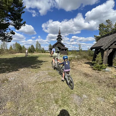 Red Cross Cabin, Spacious Mountain * Gol