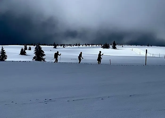 Red Cross Cabin, Spacious Mountain * Gol