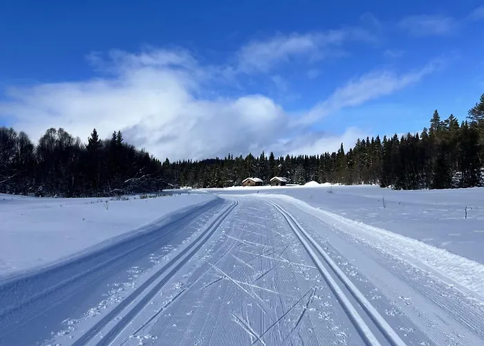 Red Cross Cabin, Spacious Mountain Gol