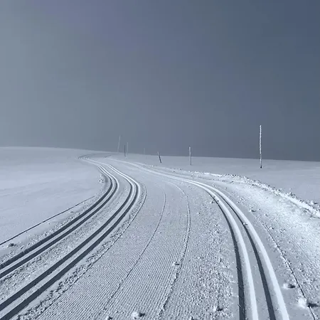 Red Cross Cabin, Spacious Mountain גול
