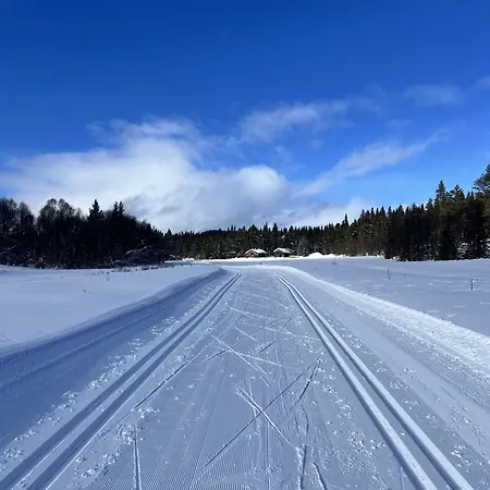 Red Cross Cabin, Spacious Mountain גול