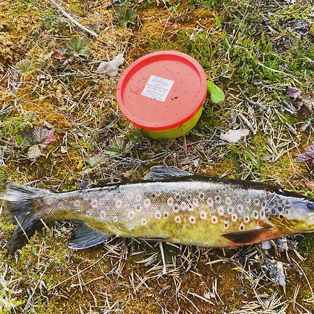 בית נופש Red Cross Cabin, Spacious Mountain